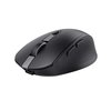 Muis Trust Ozaa compact draadloos foto