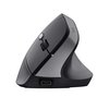 Muis Trust Ergonomisch TM-270 draadloos foto