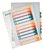 Tabblad Leitz WOW A4+ 11-gaats 1-12 PP assorti