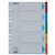 Intercalaire Esselte Standart A4 5 onglets 11 perf carton assorti