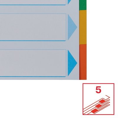Intercalaire Esselte Standart A4 5 onglets 11 perf carton assorti
