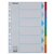 Intercalaire Esselte Standart A4 6 onglets 11 perf carton assorti