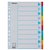 Intercalaire Esselte Standart A4 10 onglets 11 perf carton assorti