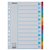 Intercalaire Esselte Standart A4 12 onglets 11 perf carton assorti