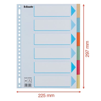 Tabbladen Esselte Premium A4 6-delig karton 23-rings assorti