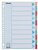 Tabbladen Esselte Premium A4 10-delig karton 23-rings assorti