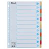 Intercalaire Esselte Premium A4 12 onglets 23 perf carton assorti Photo