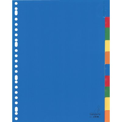 Intercalaire Kangaro A410FM A4 23 perforations 10 onglets + fenêtre PP assorti