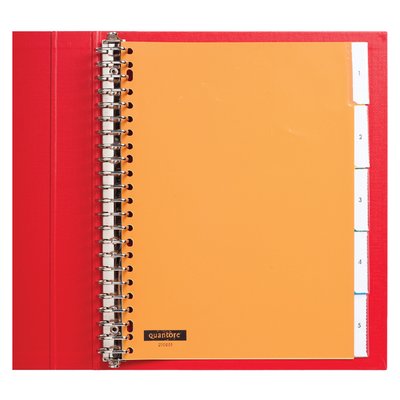 Intercalaire Quantore 23 perforations 5 onglets+fenêtre assorti PP