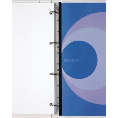 Filestrip GBC A4 10-pins 100 stuks