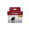 Inktcartridge Canon PGI-525 zwart 2x foto