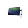 Monitorarm Neomounts D550 10-32" zwart foto