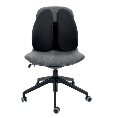 Rugsteun Kensington smartfit zwart