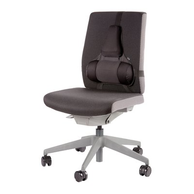 Support dorsal Fellowes Pro Ultime