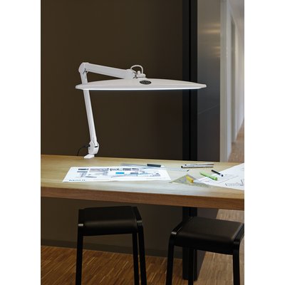Lampe de bureau MAUL Work LED intensité variable blanc