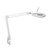Lampe loupe MAULviso LED avec pince blanc