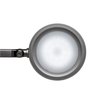 Lampe de bureau MAULgrace LED Colour vario intensité variable argent Photo