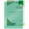 Pochette modèle L Leitz Premium Copysafe A4 PVC 0,15mm vert 100 pièces Photo