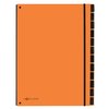 Sorteermap Pagna Trend A4 12 tabs oranje foto