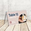Porte-nom de table Europel en V 150x70mm acryl Photo
