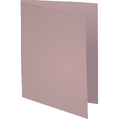 Vouwmap Exacompta Forever A4 170gr grijs 100 stuks