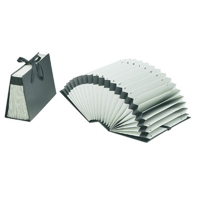 Trieur Djois Diplo-Line Folio A à Z 21 compartiments noir