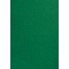 Voorblad GBC A4 lederlook groen 100 stuks foto