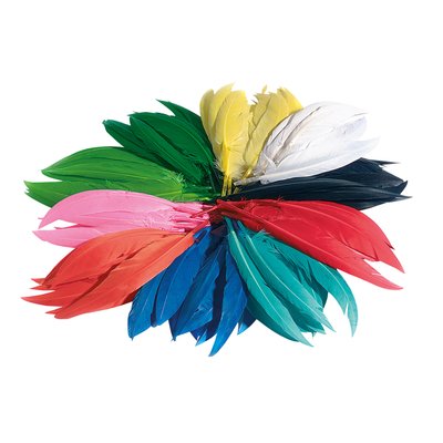 Indianen veren Folia assorti