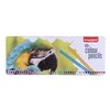 Crayon de couleur Bruynzeel Creatives Perroquet boîte 45 couleurs Photo