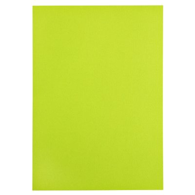 Kopieerpapier Papicolor A4 100gr 12 vel appelgroen