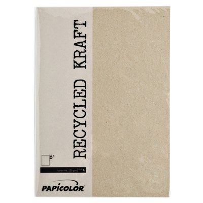 Kopieerpapier Papicolor A4 100gr 12 vel kraft grijs