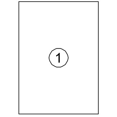 Etiket Avery DP001 210x297 wit 100 stuks