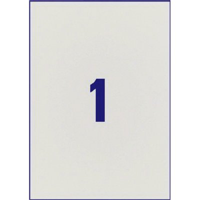 Etiket Avery L6013-20 210x297mm zilver 20 stuks