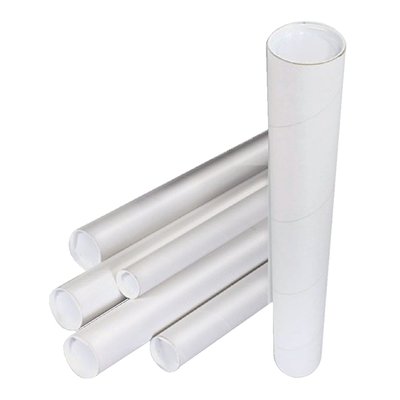 Tube expédition CleverPack A2 450x50x1,5mm + embouts blanc 20 pièces