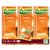 Thé Pickwick rooibos miel 25x 1,5g