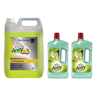 Allesreiniger Andy citroen fris 5 liter