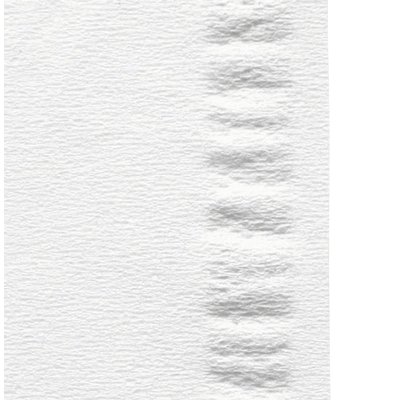 Facial tissues Satino HiLine 2-laags 100 vel wit 206450