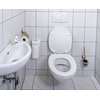 Sanitairreiniger HG Alledag spray 500ml foto