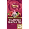 Thee Lipton Exclusive bosvruchten 25x2gr foto