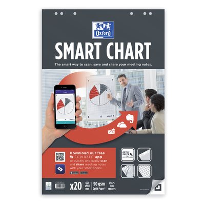 Flipoverpapier Oxford smart 650x980mm ruit 90 gram 20 vel
