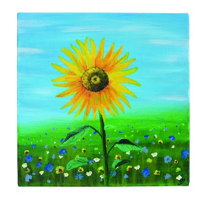 Schildersdoek Qrea Studio 30x40cm