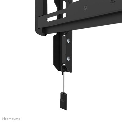 TV wandsteun Neomounts 24-55 inch