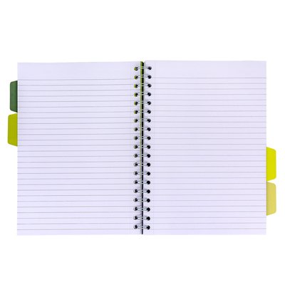 Carnet de projets Pukka Pad Recycled B5 ligné 4 intercalaires 200 pages 80g vert