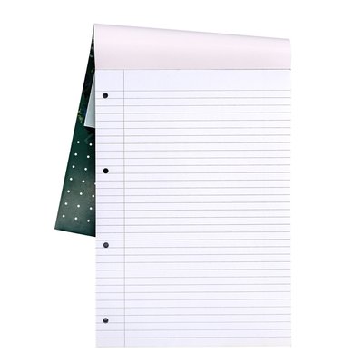 Bloc-notes Pukka Pad Recycled A4 ligné 4 perforations 100 feuilles 80g