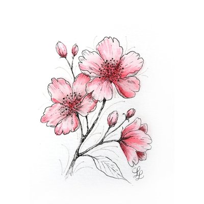 Tekenset Sakura Creative Kit Cherry Blossom 6 stuks
