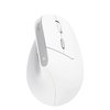 Muis Trust ergonomisch BAYO II draadloos wit foto