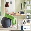 Ballon d'assise Leitz Ergo anti-basculement 55cm gris foncé Photo