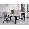 Zit/sta duo Business elektrisch 2 x (180x80 cm) foto