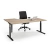 Easy Wingbureau 180x120 rechts foto