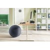 Ballon d'assise Leitz Ergo anti-basculement 55cm gris foncé Photo